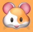 WWW,645se·COM网站APPAPP应用