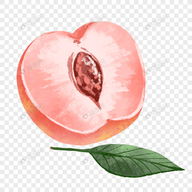 WWW,388se·COM网站APPAPP应用