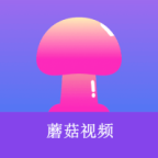 麻豆网站APP应用